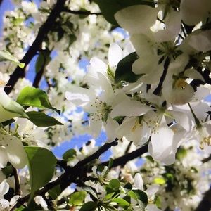 Meet your Posher, Carmen